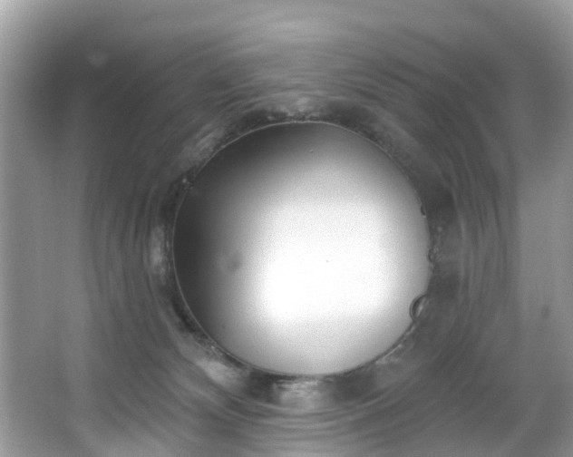 X0000067470132200604101209