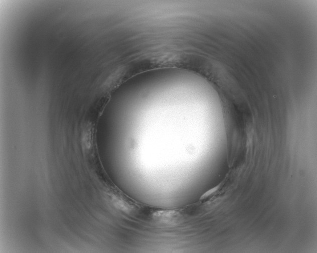 X0000067470133200604101209