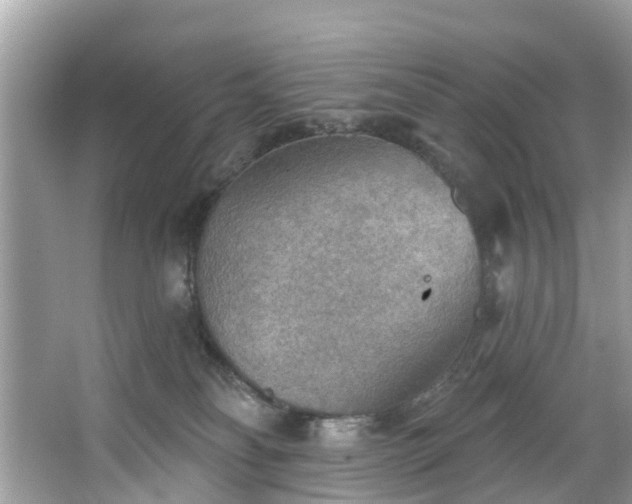 X0000067470134200604101209