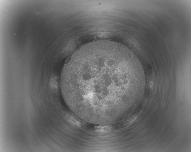 X0000067470135200604101209