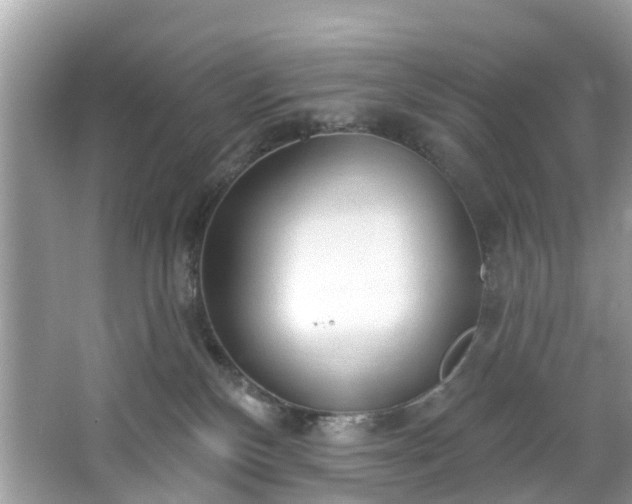 X0000067470136200604101209