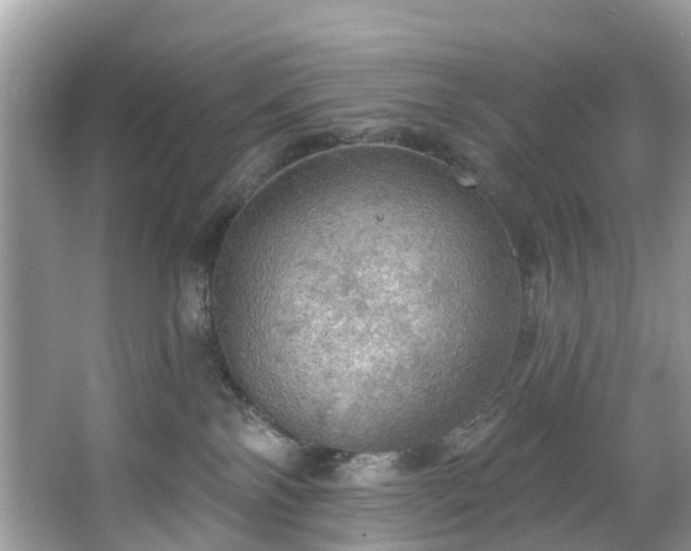 X0000067470138200604101209