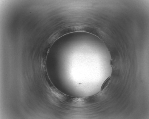 X0000067470140200604101209