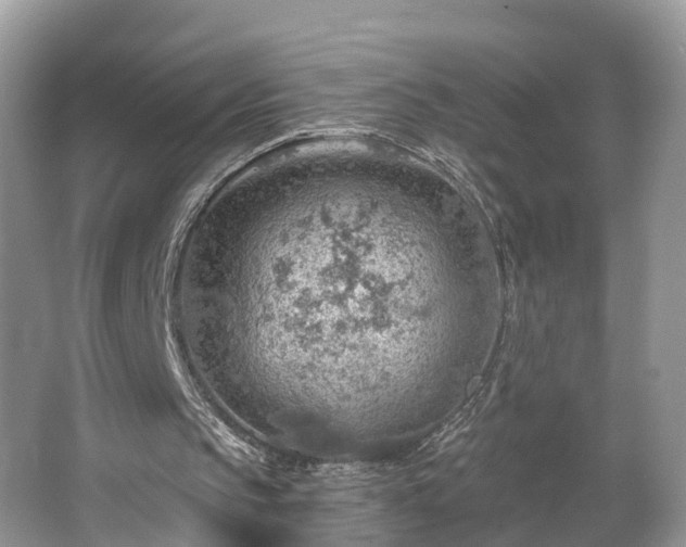 X0000067470145200604101208