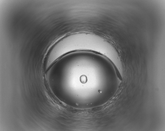 X0000067470146200604101208