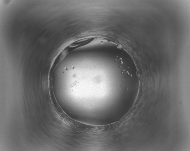 X0000067470148200604101208