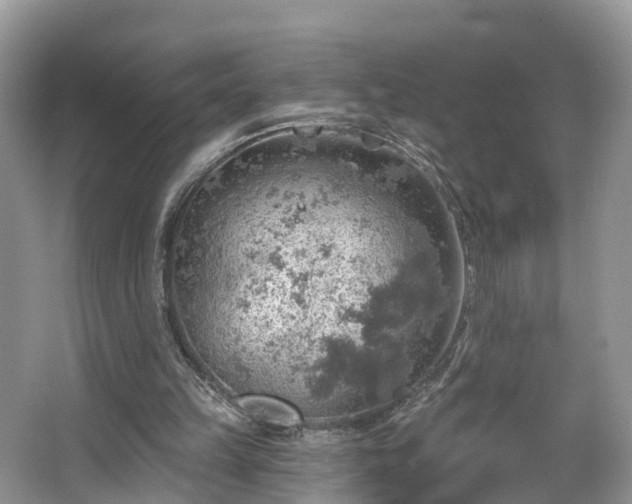 X0000067470149200604101208