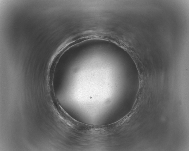 X0000067470150200604101208