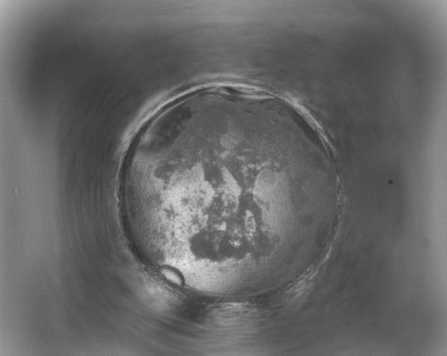 X0000067470151200604101208