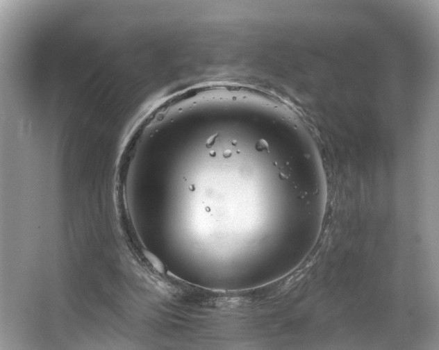 X0000067470152200604101208