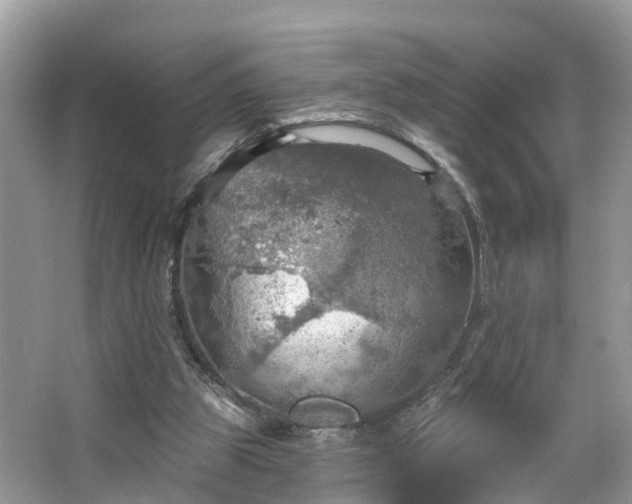 X0000067470153200604101208