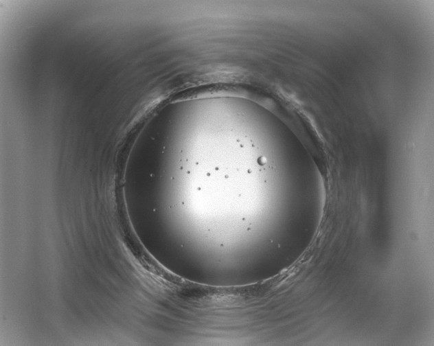 X0000067470154200604101208