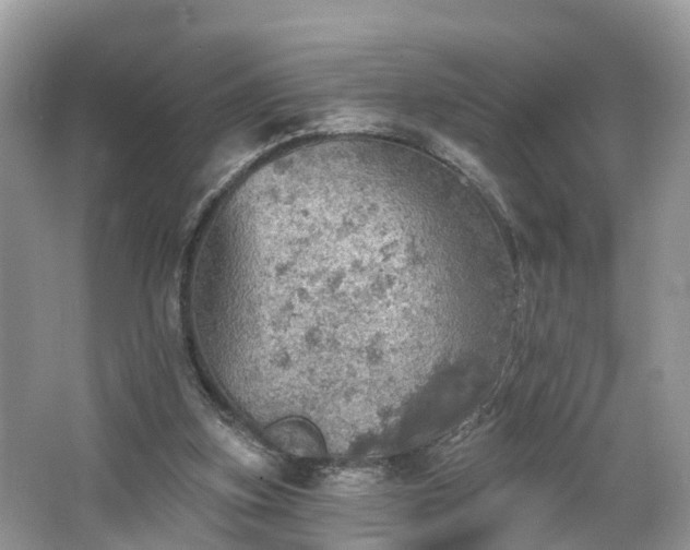 X0000067470155200604101208