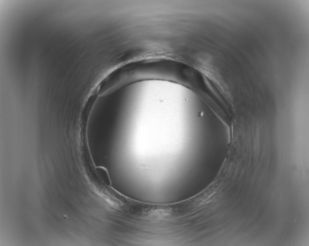 X0000067470156200604101208