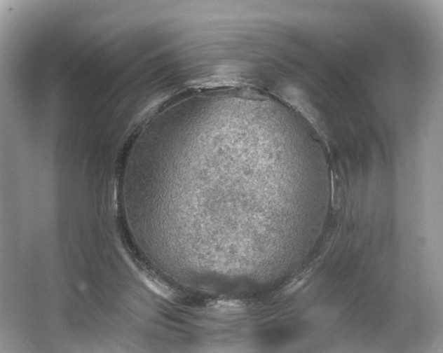 X0000067470157200604101208