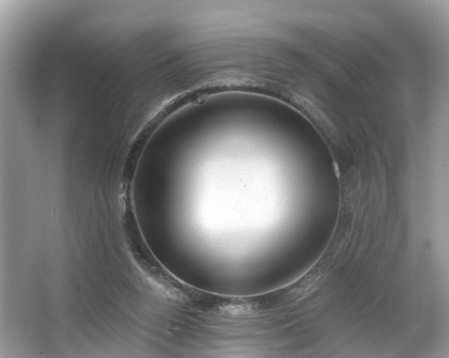 X0000067470160200604101208