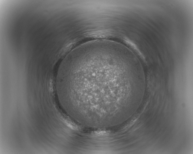 X0000067470161200604101208