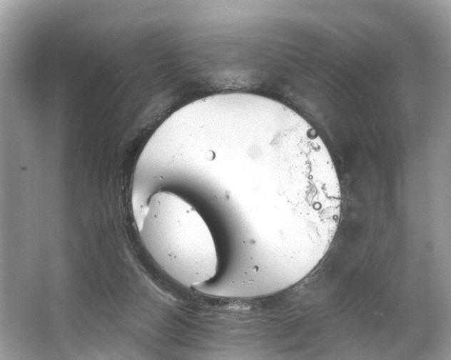 X0000067470162200604101208