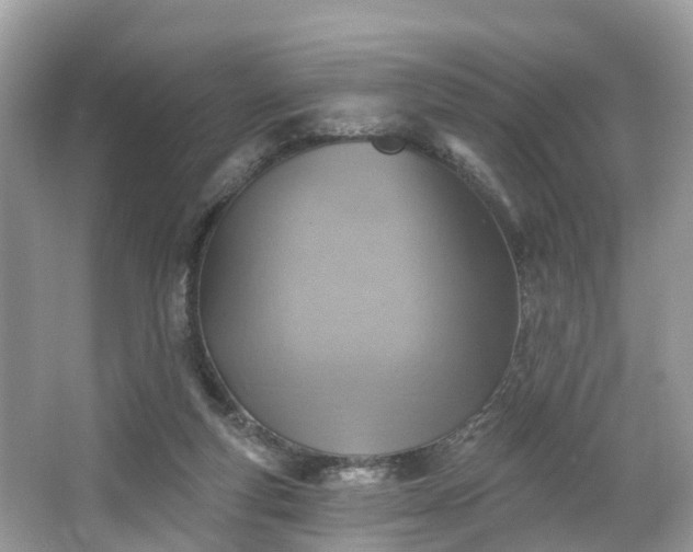 X0000067470163200604101208