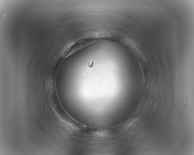 X0000067470164200604101208