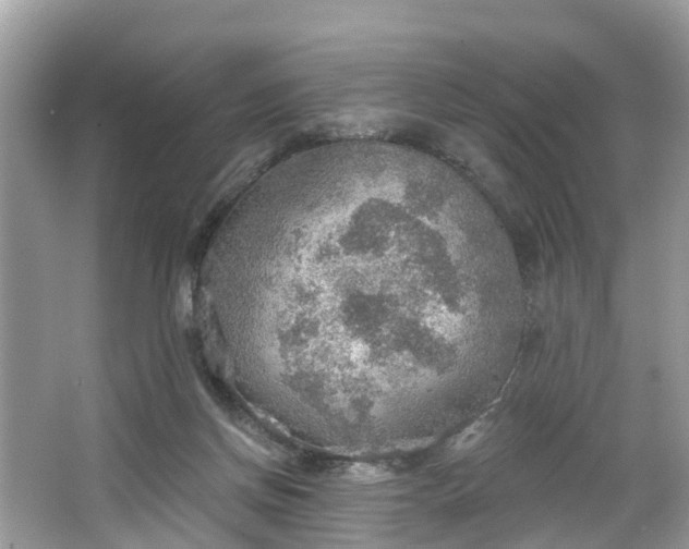 X0000067470166200604101208