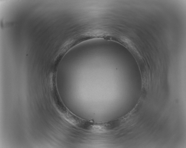 X0000067470167200604101208