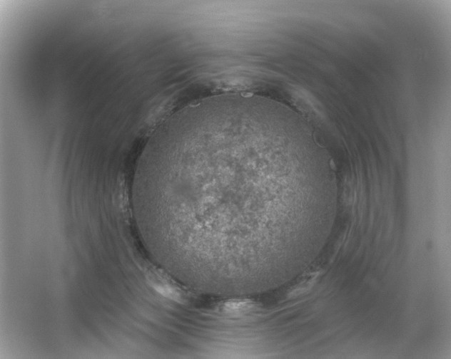 X0000067470173200604101208