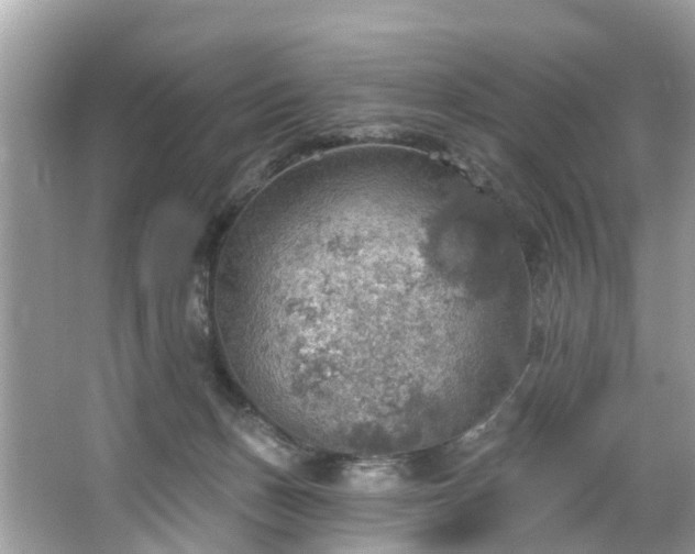 X0000067470175200604101208