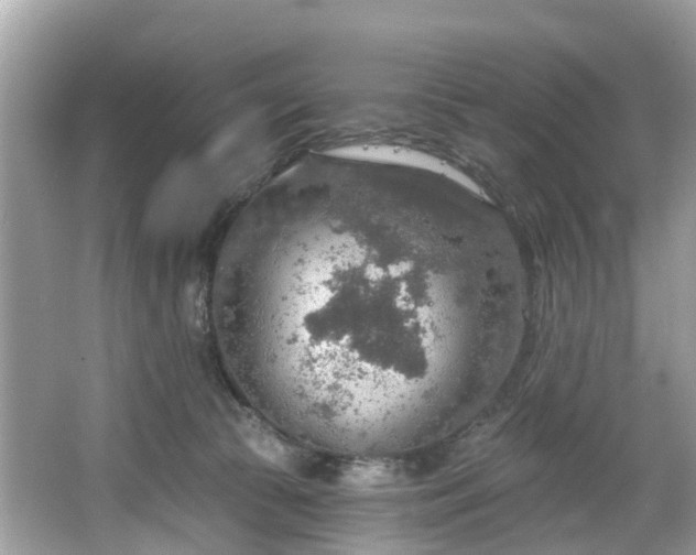 X0000067470177200604101208