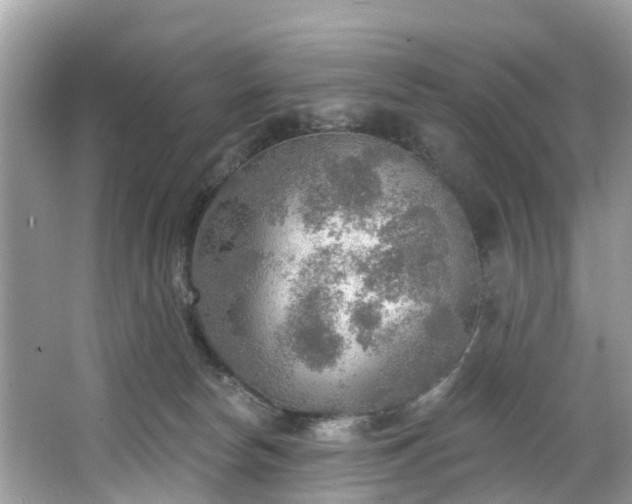 X0000067470178200604101208