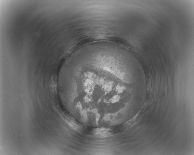 X0000067470179200604101208