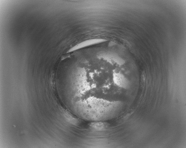 X0000067470181200604101208