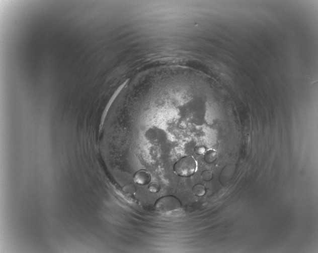 X0000067470185200604101208