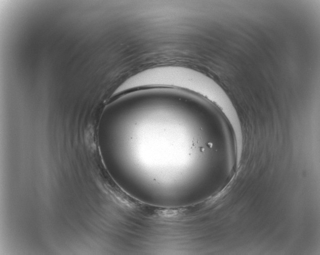 X0000067470187200604101208