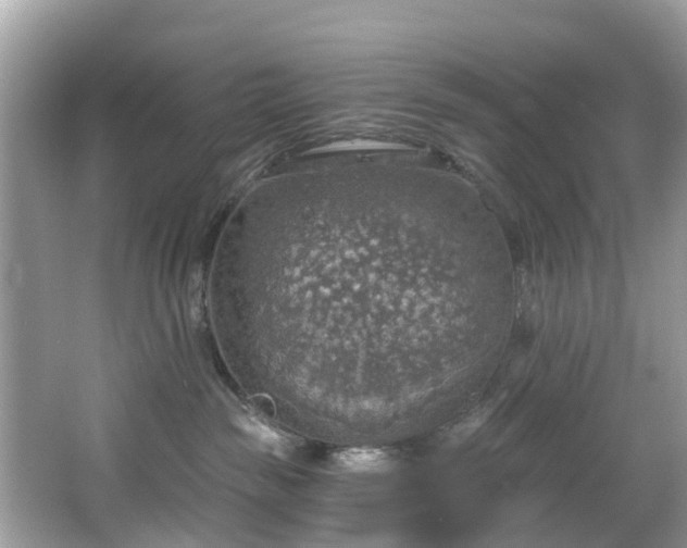 X0000067470189200604101208