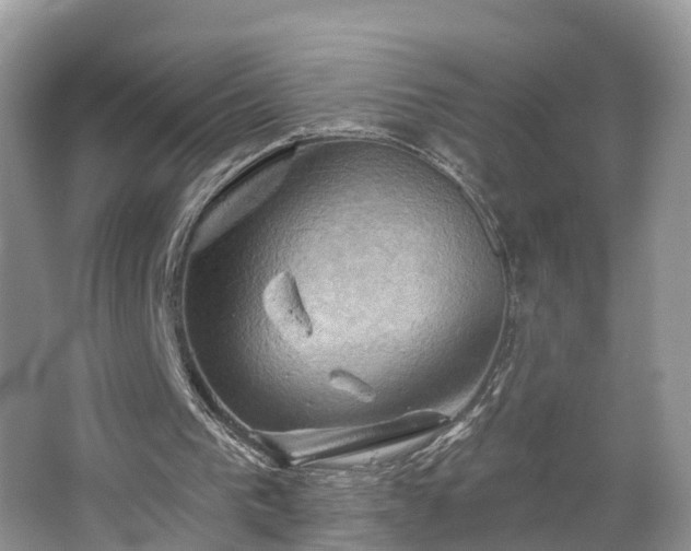 X0000067470193200604101208