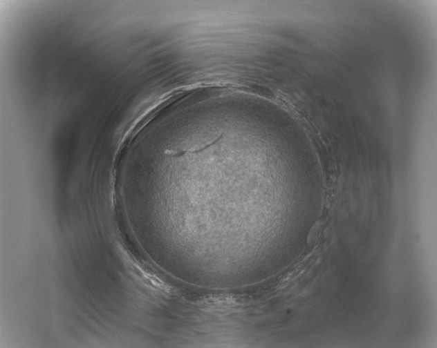 X0000067470194200604101208