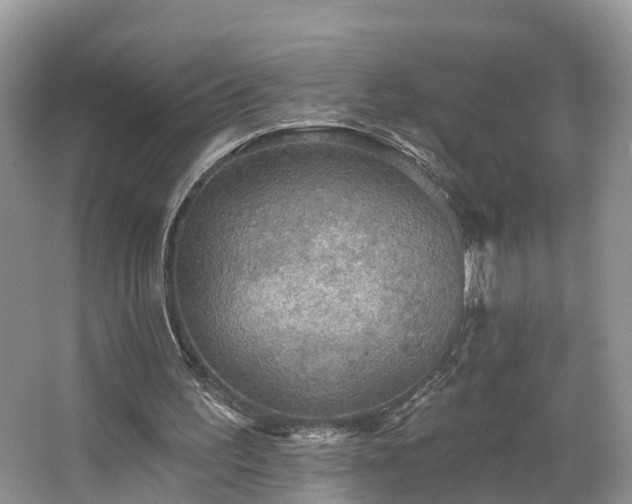 X0000067470195200604101208