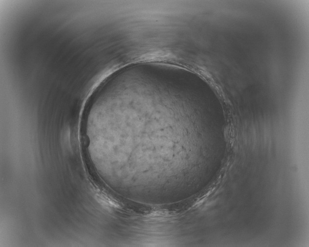 X0000067470196200604101208