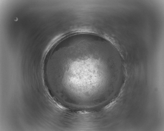 X0000067470199200604101208