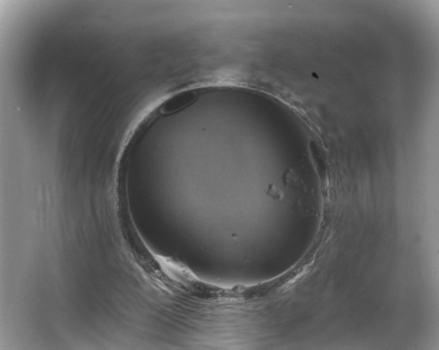 X0000067470200200604101208