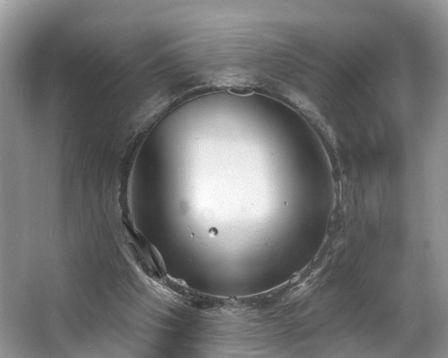 X0000067470201200604101208