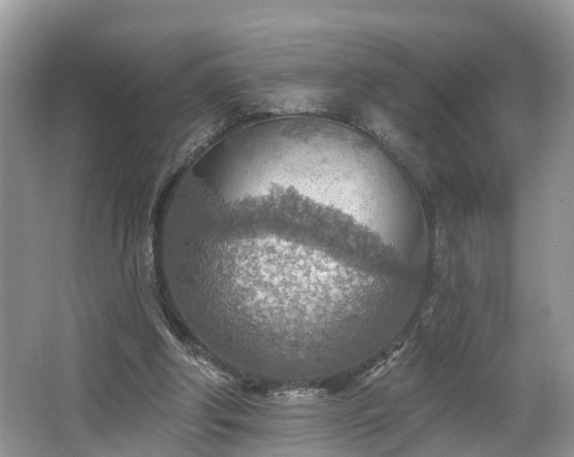 X0000067470202200604101208