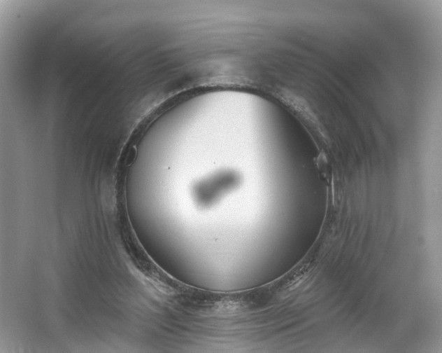 X0000067470204200604101208