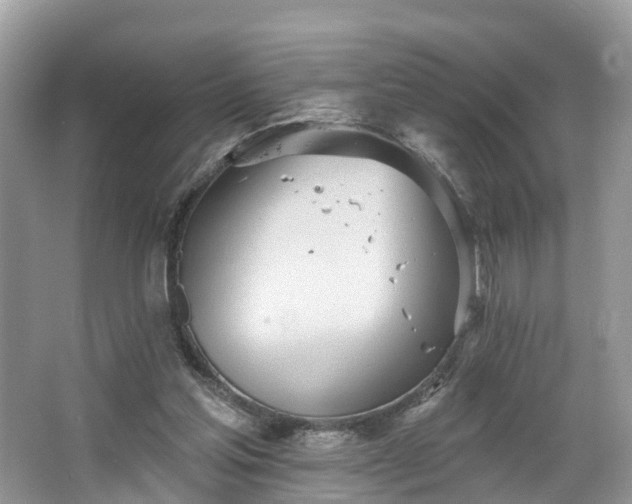 X0000067470205200604101207