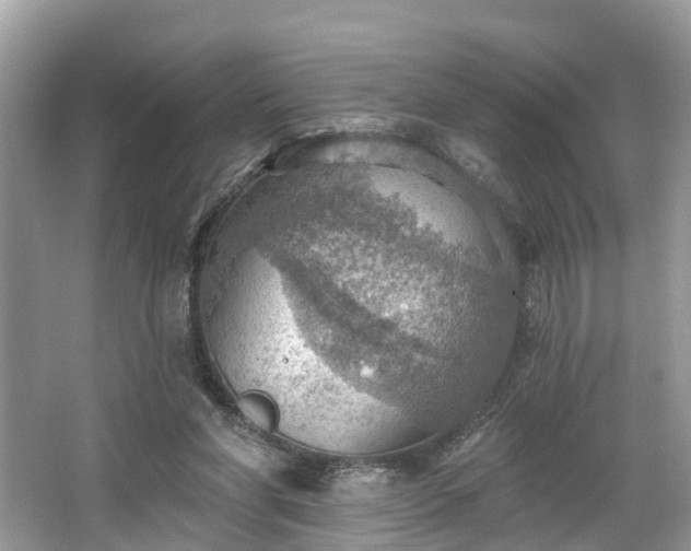 X0000067470206200604101207