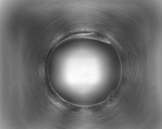 X0000067470207200604101207