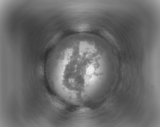 X0000067470210200604101207