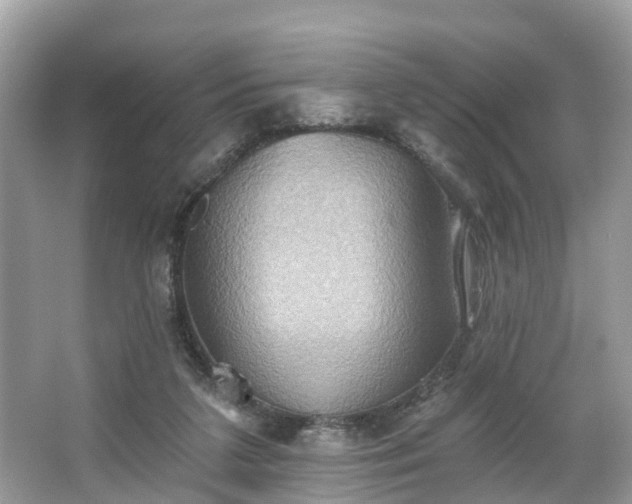 X0000067470211200604101207