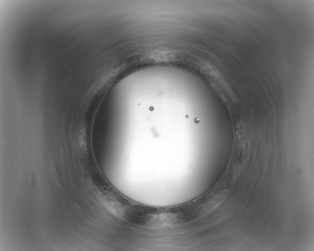 X0000067470212200604101207